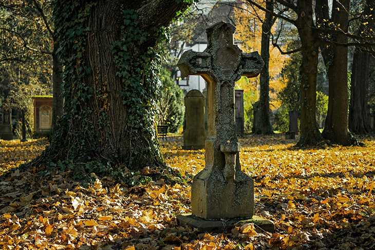 groby