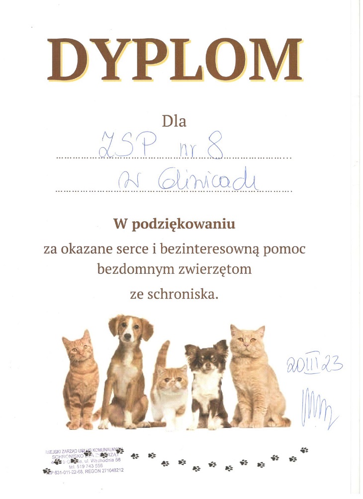 kot