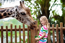grafika dzieci w zoo