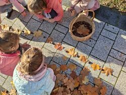 Gruba Bąbelki układająca patyki