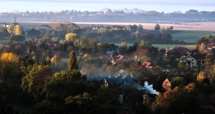 Drzewa, budynki nad którymi znajduje się chmura smogowa